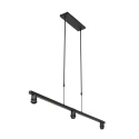 Steinhauer Pendelarmatuur STANG E27 IP20, dimbaar