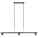 Steinhauer Pendelarmatuur STANG E27 IP20, dimbaar