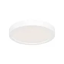 Steinhauer Plafondarmatuur CEILING AND WALL IP44, dimbaar