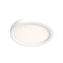 Steinhauer Plafondarmatuur CEILING AND WALL IP44, dimbaar