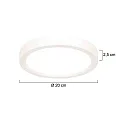 Steinhauer Plafondarmatuur CEILING AND WALL IP44, dimbaar
