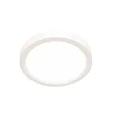 Steinhauer Plafondarmatuur CEILING AND WALL IP44, dimbaar