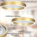 Steinhauer Plafondarmatuur RINGLUX IP20, dimbaar