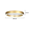 Steinhauer Plafondarmatuur RINGLUX IP20, dimbaar