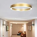 Steinhauer Plafondarmatuur RINGLUX IP20, dimbaar