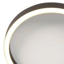 Steinhauer Plafondarmatuur RINGLUX 2-vlams IP20, zwart dimbaar
