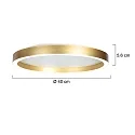 Steinhauer Plafondarmatuur RINGLUX IP20, dimbaar