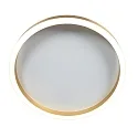 Steinhauer Plafondarmatuur RINGLUX IP20, dimbaar