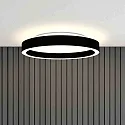 Steinhauer Plafondarmatuur RINGLUX IP20, dimbaar