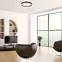 Steinhauer Plafondarmatuur RINGLUX IP20, dimbaar