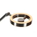 Steinhauer Staande lamp RINGLUX 2-vlams IP20, staal dimbaar