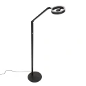 Steinhauer Staande lamp RINGLUX 2-vlams IP20, zwart dimbaar