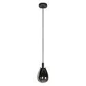 Steinhauer Pendelarmatuur GLIMSY IP20, dimbaar