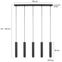 Steinhauer Pendelarmatuur DOWNLUME 5-vlams GU10 IP20, zwart dimbaar