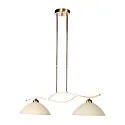 Steinhauer Pendelarmatuur ANTHEA E27 IP20, dimbaar
