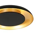 Steinhauer Plafondarmatuur GOLDEN VEIL IP20, dimbaar