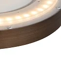 Steinhauer Plafondarmatuur FLADY IP20, dimbaar