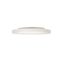 Steinhauer ceiling luminaire FLADY 2 flames IP20, white dimmable