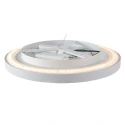 Steinhauer ceiling luminaire FLADY 2 flames IP20, white dimmable