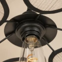 anne light & home Pendelarmatuur LUMAFLORA 1-vlams E27 IP20, zwart dimbaar