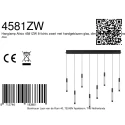 Steinhauer Pendelarmatuur ALISIO 8-vlams IP20, zwart dimbaar