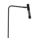 Steinhauer Staande lamp ALISIO 1-vlams IP20, zwart dimbaar