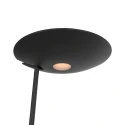 Steinhauer Staande lamp DAPHNE 2 2-vlams IP20, zwart dimbaar