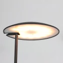 Steinhauer Staande lamp DAPHNE 2 2-vlams IP20, zwart dimbaar