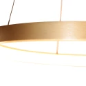 Steinhauer Pendelarmatuur RINGLEDE 1-vlams IP20, goud dimbaar