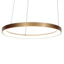Steinhauer Pendelarmatuur RINGLEDE 1-vlams IP20, goud dimbaar