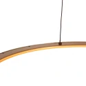 Steinhauer Pendelarmatuur RINGLEDE 1-vlams IP20, goud dimbaar
