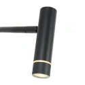 Steinhauer Staande lamp VOLARI 1-vlams IP20, zwart dimbaar