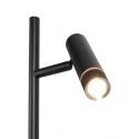 Steinhauer Staande lamp VOLARI 2-vlams IP20, zwart dimbaar