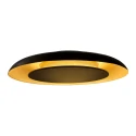 Plafondarmatuur GOLDEN VEIL 2-vlams IP20, zwart dimbaar
