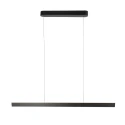 Steinhauer Pendelarmatuur KAROL IP20, dimbaar