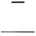 Steinhauer pendant luminaire KAROL IP20, dimmable