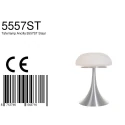 Steinhauer Tafelarmatuur ANCILLA 2-vlams, rond, indirect E14 IP20, staal geborsteld 