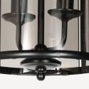 Steinhauer Pendelarmatuur PIMPERNEL 2-vlams E14 IP20, zwart dimbaar