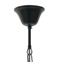 Steinhauer Pendelarmatuur PIMPERNEL 2-vlams E14 IP20, zwart dimbaar