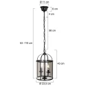 Steinhauer Pendelarmatuur PIMPERNEL 2-vlams E14 IP20, zwart dimbaar
