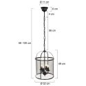 Steinhauer Pendelarmatuur PIMPERNEL 4-vlams E14 IP20, zwart dimbaar