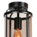 Steinhauer ceiling luminaire PIMPERNEL E27 IP20, black dimmable