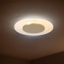 Steinhauer ceiling luminaire LIDO 1 flame IP20, gold dimmable