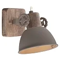 Mexlite Plafondarmatuur GEARWOOD E27 IP20, dimbaar