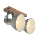 Mexlite Plafondarmatuur GEARWOOD 2-vlams, instelbaar E27 IP20, groen, glanzend dimbaar