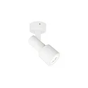 Wall /Ceiling luminaire SARA 1.0 PAR16, GU10 max. 12W, swivelling 90°, white