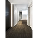 Wever & Ducré recessed spotlight STRANGE PETIT TRIMLESS CEILING REC 3.0 3 flames, rigid, current constant, flush IP20, bronze