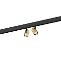 track spot CENO ON STREX 2.0 2 flames, with adapter IP20, champagner, black matt 