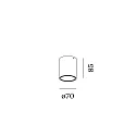 Wever & Ducré Downlight RAY MINI 1.0 down, cilindrisch, opbouwversie IP20, wit mat dimbaar