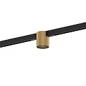 Railspots RAY ON STREX 1.0 IP20, champagne, zwart mat 
